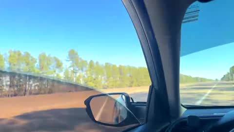 zadddy209 online show from January 20, 2025, 5:37 pm