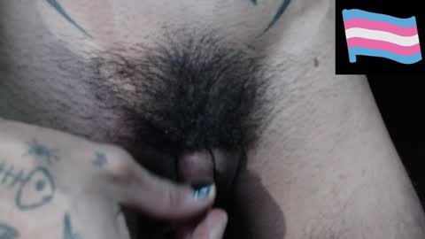 Snapshot of zeldrissss chatting on December 14, 2024, 11:12 pm Zeldris online show from December 14, 2024, 11:12 pm