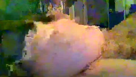 zero0zero123 online show from September 27, 2025, 9:53 pm