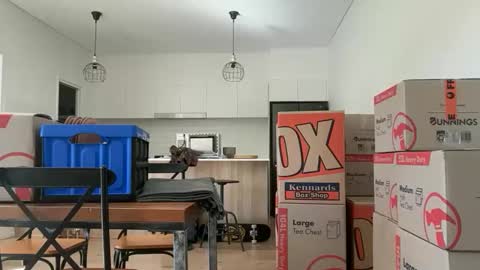 Snapshot of zeroventure chatting on March 31, 2026, 3:52 am zeroventure online show from March 31, 2026, 3:52 am