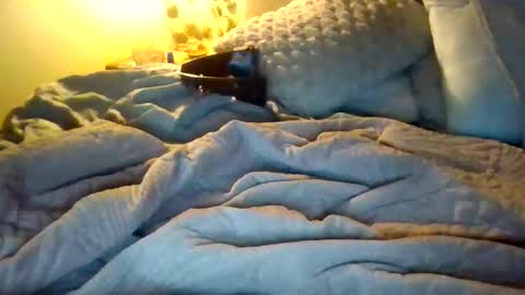 9.3 inch online show from December 17, 2025, 12:49 am