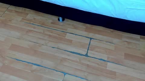 zia online show from February 21, 2025, 12:17 pm