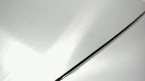 zia online show from February 20, 2026, 11:22 am