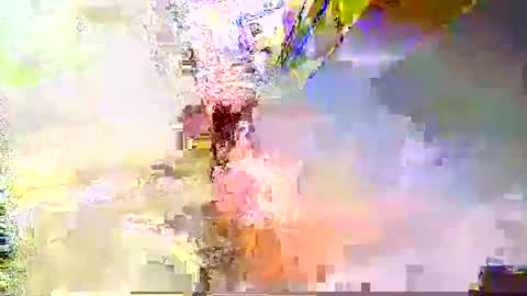zippy001 online show from December 6, 2024, 11:33 am