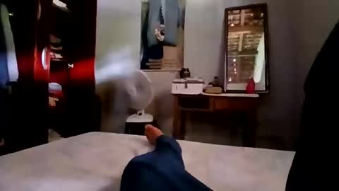 zitojose73 online show from November 4, 2025, 5:12 pm