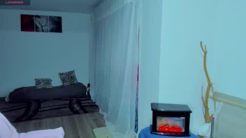 new count    online show from November 6, 2025, 10:43 pm