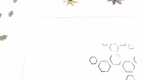 Carolina online show from January 12, 2026, 8:25 pm