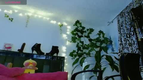 zoemi online show from January 24, 2025, 1:45 am