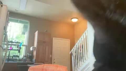 Zoeydanner online show from February 17, 2026, 8:48 pm