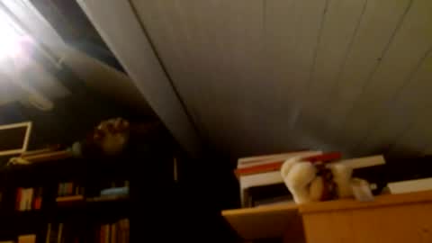 zolexthomas online show from January 15, 2025, 4:43 pm