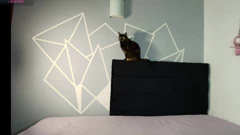 zpzphot online show from March 25, 2026, 8:37 pm