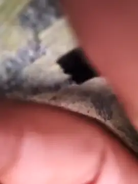 rajstrip12650 online show from February 2, 2025, 11:53 pm