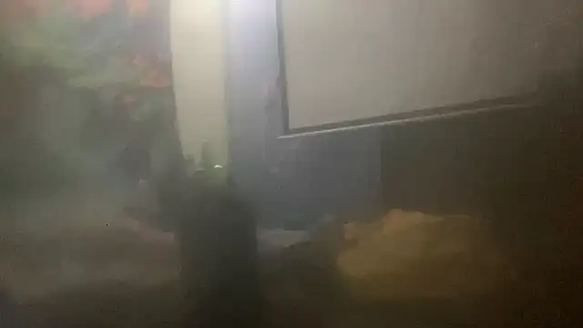 Fr4nk1eFFuxxx online show from March 14, 2026, 9:48 am