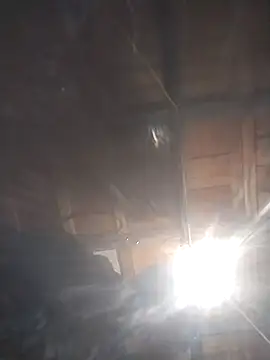 Spoonish online show from January 11, 2026, 8:08 am