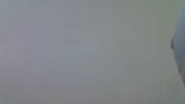 AddictiveAssCurves online show from March 18, 2026, 8:39 am