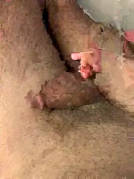 Aden P2 online show from September 20, 2025, 12:55 am