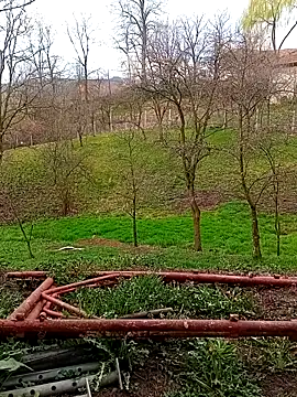 Medelin92 online show from April 3, 2026, 5:49 am