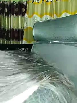 Snapshot of Sima--Roy chatting on December 30, 2024, 6:05 pm Sima--Roy online show from December 30, 2024, 6:05 pm