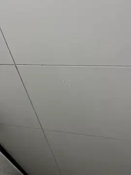 Tintola online show from February 23, 2026, 12:30 am