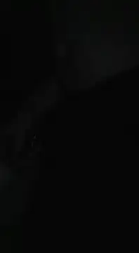 Bi curious86 online show from November 13, 2025, 4:44 am