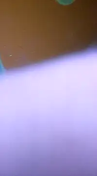 Snapshot of ducicsajsziii chatting on January 28, 2025, 5:54 am ducicsajsziii online show from January 28, 2025, 5:54 am