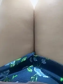 pinaxpack1 online show from November 2, 2025, 3:09 am