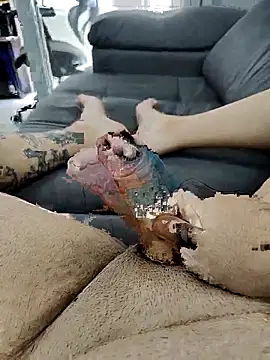 Snapshot of pete_97 chatting on September 21, 2025, 3:02 pm pete 97 online show from September 21, 2025, 3:02 pm