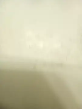 Masternasty online show from November 25, 2025, 6:46 am