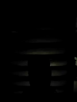 ZIMMY25 online show from March 31, 2026, 7:36 pm