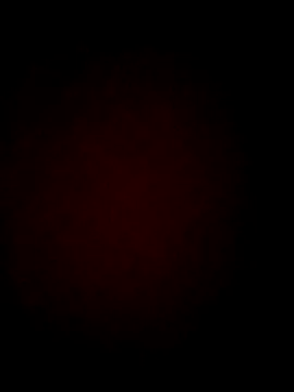 Chris8149 online show from February 19, 2025, 4:00 pm