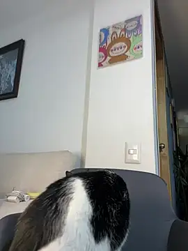 ananya sex1 online show from March 15, 2026, 5:57 am