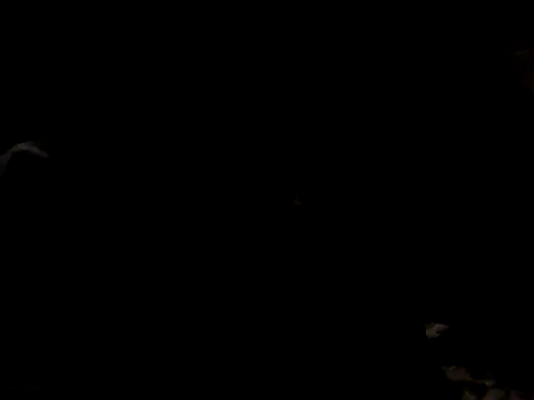 Nawtyslaveteen online show from November 24, 2025, 8:30 pm