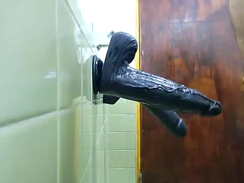 Snapshot of Ricorry@xh chatting on February 15, 2025, 4:58 am Ricorryxh online show from February 15, 2025, 4:58 am