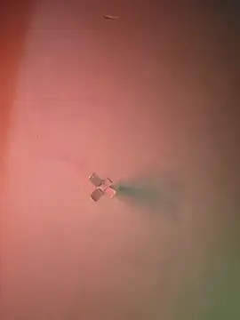 Snapshot of Ricorry@xh chatting on September 9, 2025, 5:07 am Ricorryxh online show from September 9, 2025, 5:07 am