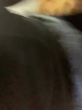 slimcateee online show from March 2, 2025, 5:36 pm