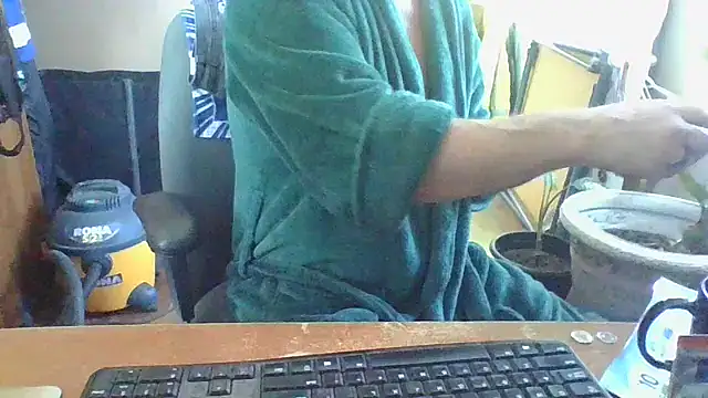 Daremeknot online show from February 1, 2025, 3:18 pm