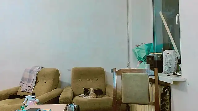 Snapshot of RosaJil chatting on February 28, 2025, 1:25 pm RosaJil online show from February 28, 2025, 1:25 pm