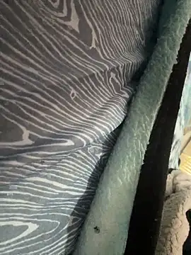 Followthepiper online show from November 10, 2025, 7:35 pm