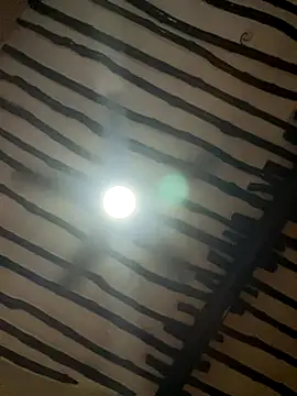 petiteebony 81 online show from November 26, 2025, 6:31 pm