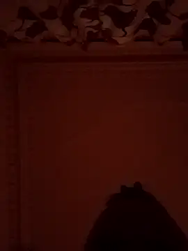 comeonlasys online show from January 5, 2025, 5:41 am