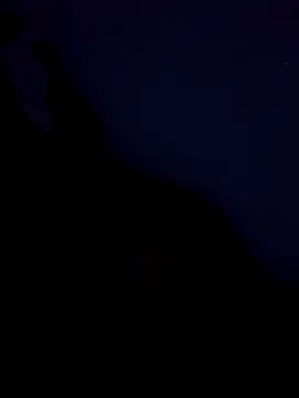 stefanie010 online show from March 19, 2026, 11:36 am