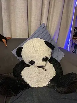 YellowHoneyDip online show from February 19, 2026, 5:25 am