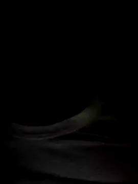 Snapshot of Mr_Perfect_Man chatting on January 8, 2025, 11:09 pm Mr Perfect Man online show from January 8, 2025, 11:09 pm