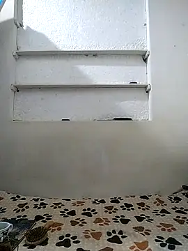 Cameron puppy online show from April 12, 2026, 10:20 am