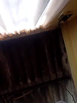 dantero online show from February 27, 2025, 3:48 pm