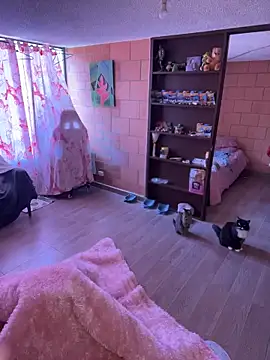 Sachi Meow online show from February 25, 2026, 6:06 pm