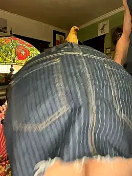 sexyasscougar online show from November 29, 2025, 4:04 am