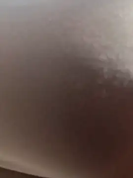 scarlett moore online show from February 20, 2026, 3:34 pm