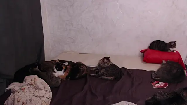 Snapshot of Olivia_Winston chatting on February 4, 2026, 3:18 pm Olivia Winston online show from February 4, 2026, 3:18 pm