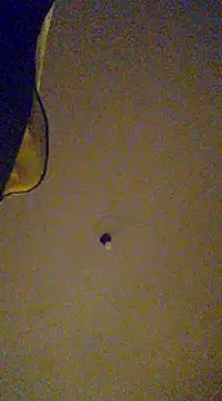 gala2 online show from February 13, 2025, 8:06 am